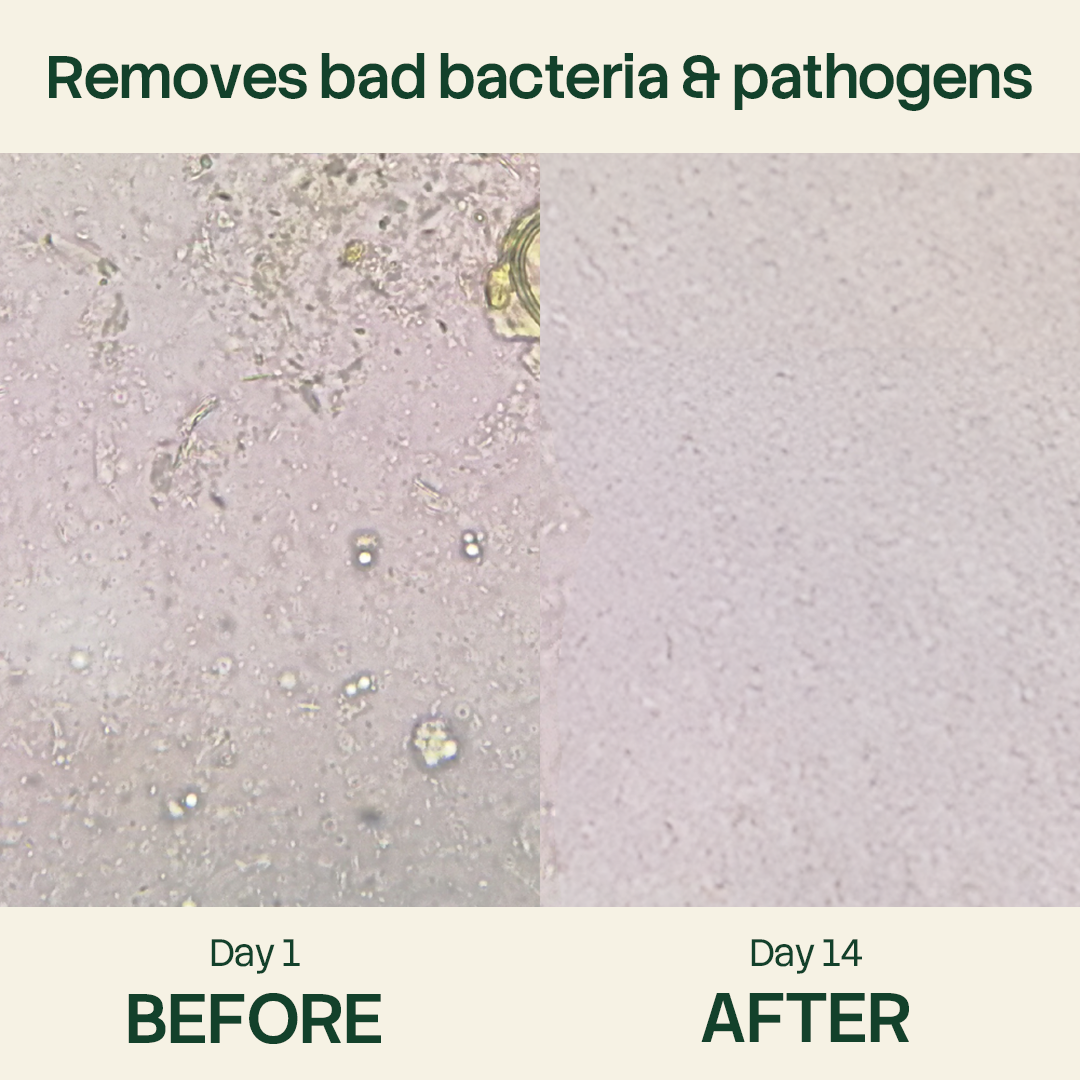 Herbies™ - Oregano+