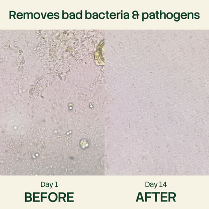 Herbies™ - Oregano+